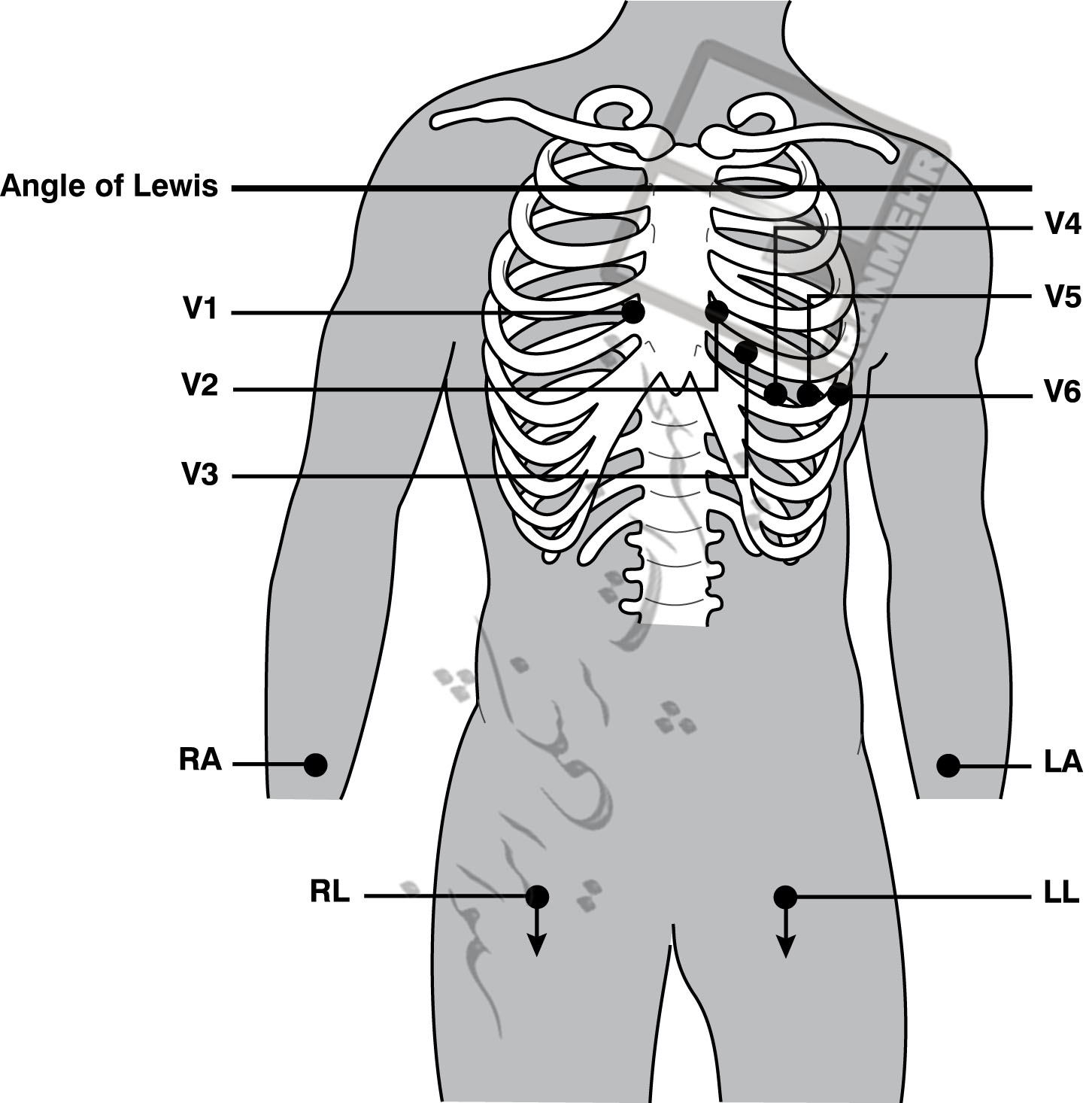 ECG ECG